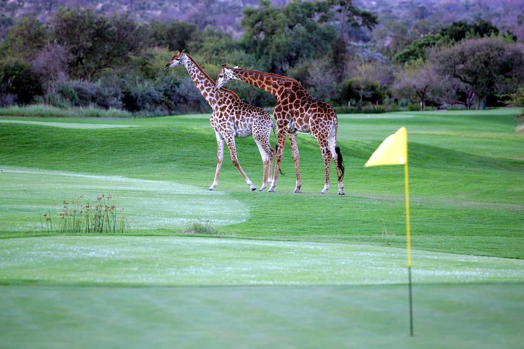 Royal Game Guest House Phalaborwa Luaran gambar